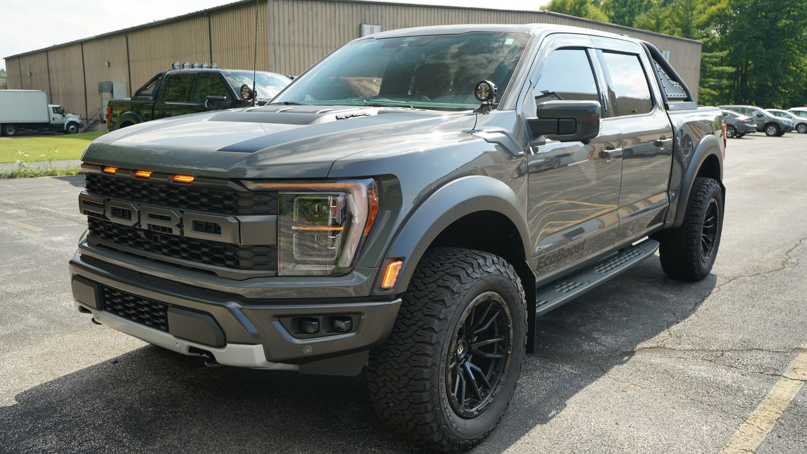 Ford F-150 Raptor #119