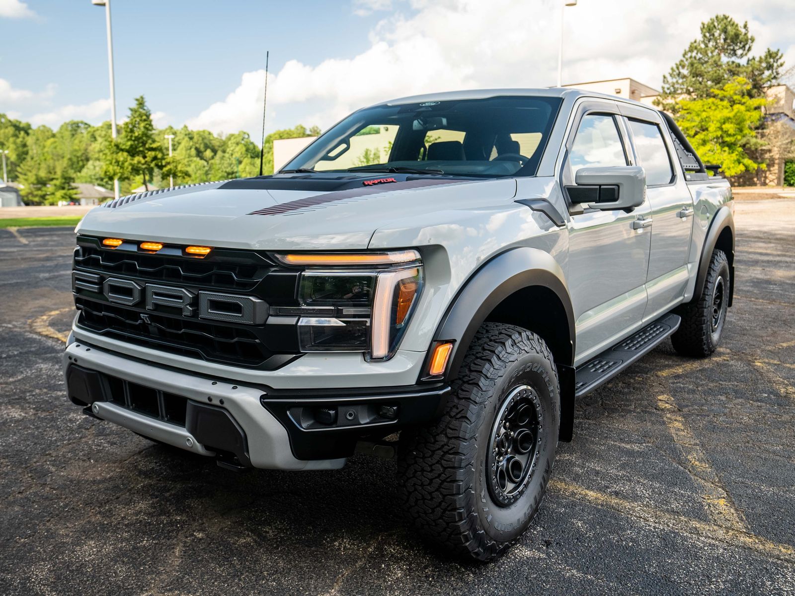 Ford F-150 Raptor #248