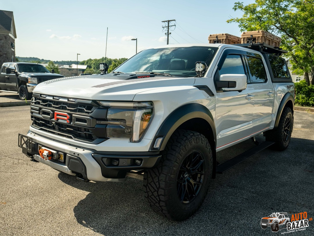 Ford F-150 Raptor #251